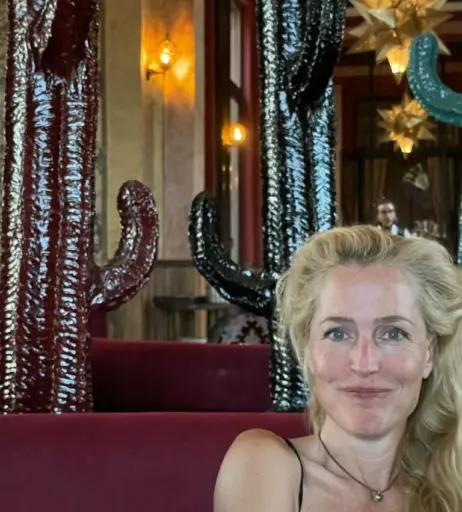 Image 26116710 from Gillian Anderson