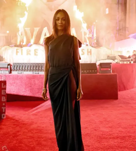 Image 26135875 from Zoe Saldana