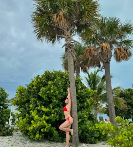 Image 2780352 from Kate Kulp