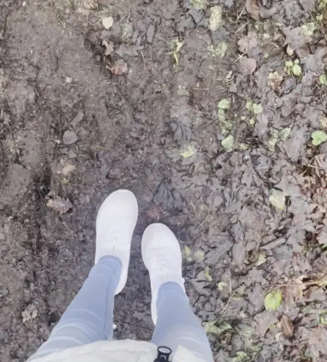 Image 2771113 from Vannmeyr