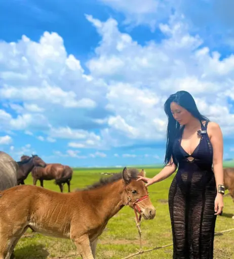 Image 2772998 from Ssun BIKI