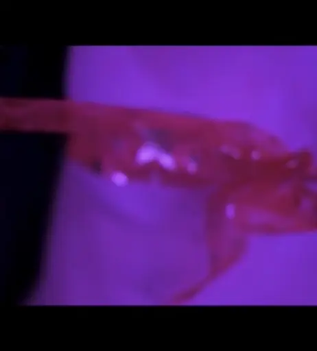 Image 2766199 from MarryD official