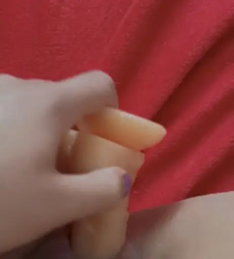 Image 2750451 from Sina-Marie Hüttner