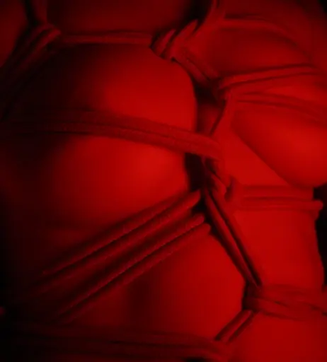 Image 2758530 from Ronie Blackheart