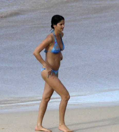 Image 2746478 from Shermine Shahrivar