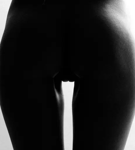 Image 2741664 from Miki Hamano