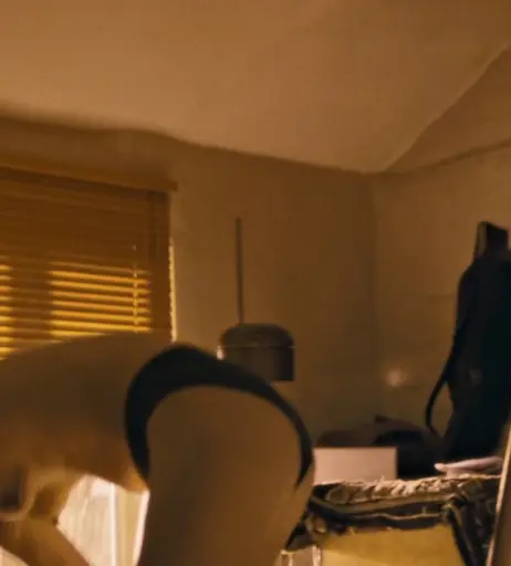 Image 2743645 from Aylin Tezel