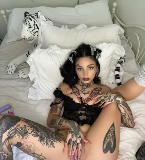 Image 2735273 from Taylor White