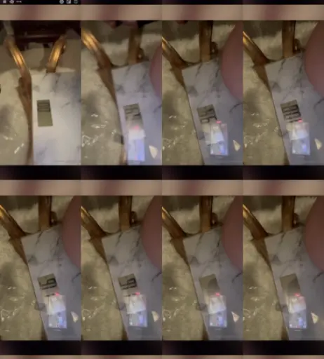 Image 2738551 from Ivy.vix