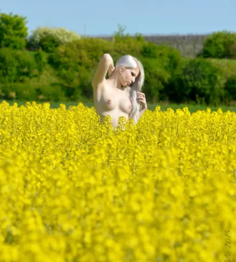 Image 2725054 from Lilith Whitic