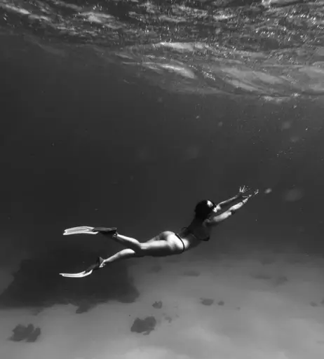 Image 2721199 from Soxresa