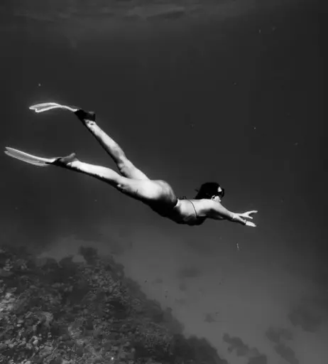 Image 2721210 from Soxresa