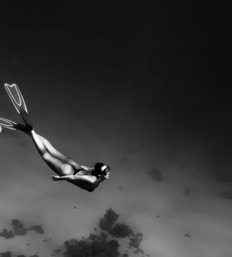 Image 2721207 from Soxresa