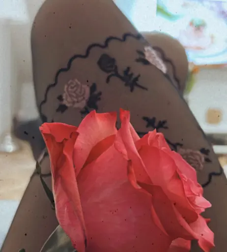 Image 272230 from dominikadominica