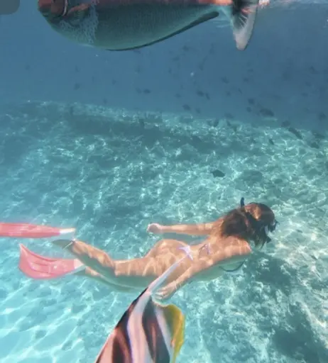 Image 2729232 from Mimi.rasch