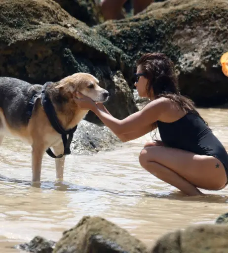 Image 2728755 from Monica Cruz