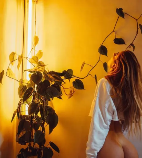 Image 2728070 from Sara de Miguel