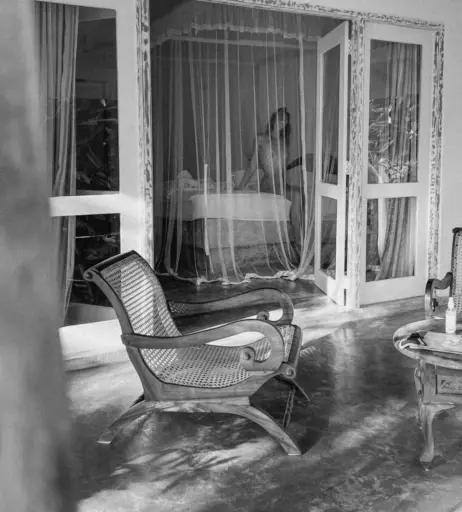 Image 272838 from Lola &amp; James