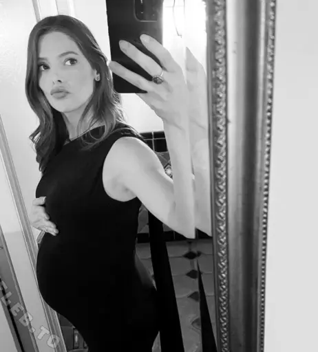 Image 27155456 from Pregnant