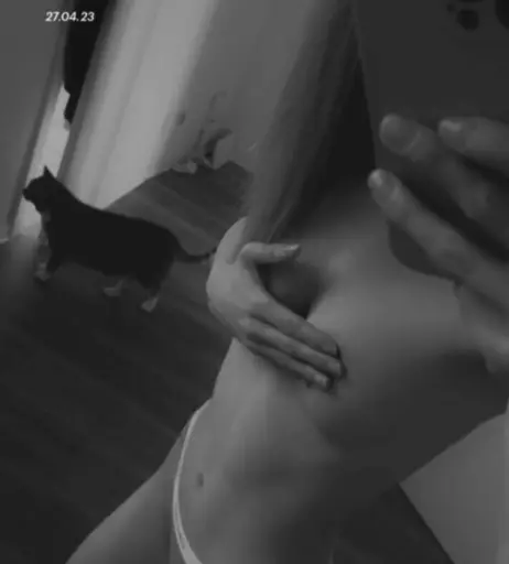 Image 2715621 from Mausistern