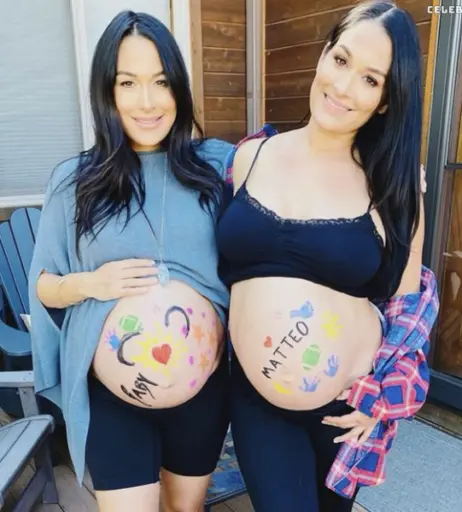 Image 27169976 from Pregnant