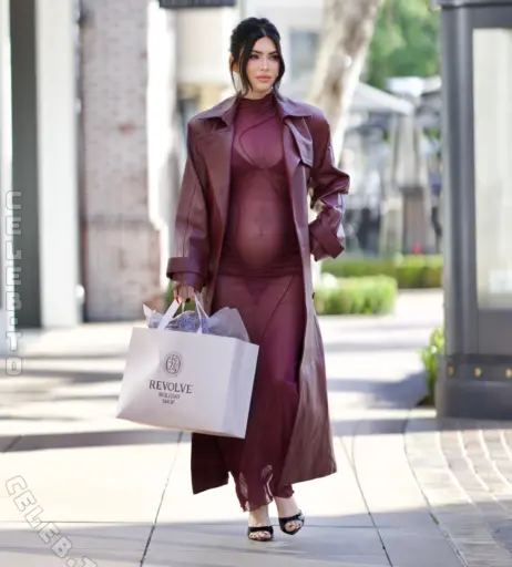 Image 27171596 from Pregnant