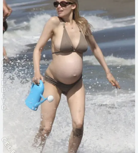 Image 27170871 from Pregnant