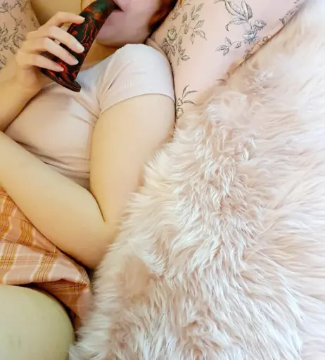 Image 2714812 from thecutestuffedanimal