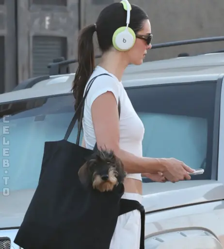 Image 27149322 from Kendall Jenner