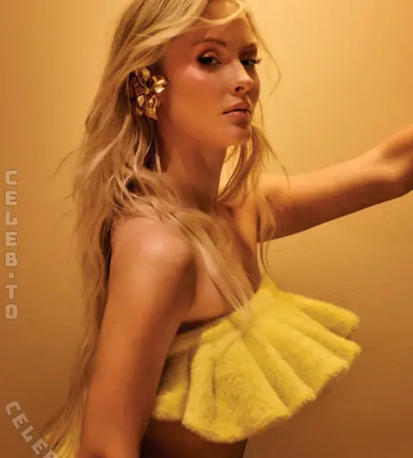 Image 27048988 from Zara Larsson