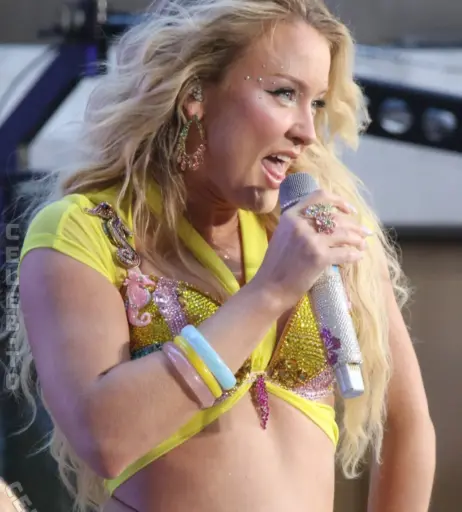 Image 27048037 from Zara Larsson