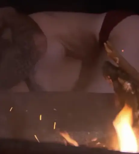 Image 2704148 from Liza Waschke