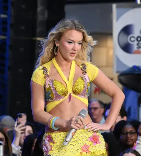 Image 27031051 from Zara Larsson