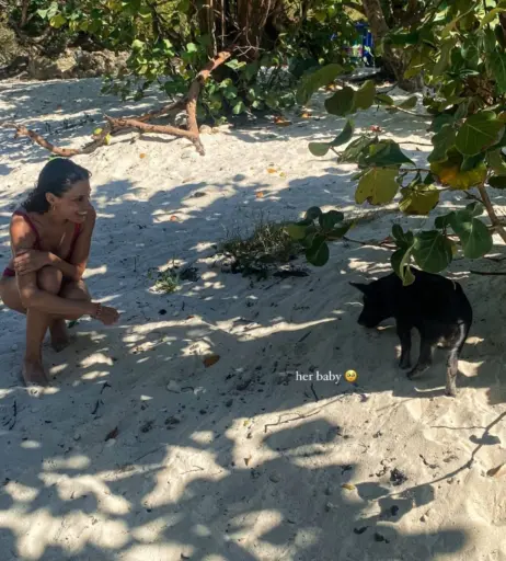 Image 2703014 from Nadine Menz