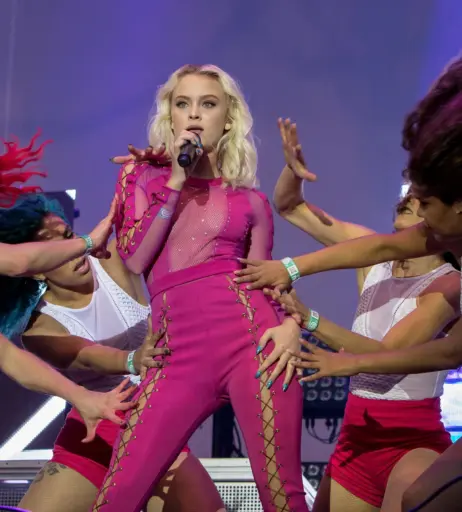 Image 27007869 from Zara Larsson