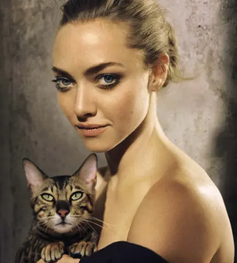 Image 2095947 from Amanda Seyfried