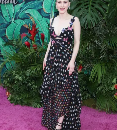 Image 2096388 from Rachel Brosnahan