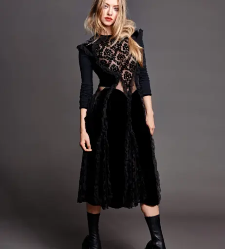 Image 2096329 from Amanda Seyfried