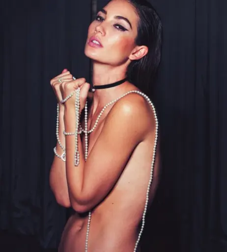 Image 2096939 from Lily Aldridge