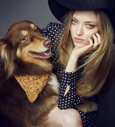 Image 2094523 from Amanda Seyfried