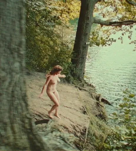 Image 2092093 from Emily Cox