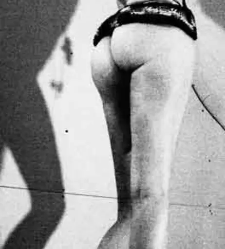 Image 2087479 from Sheri Moon Zombie