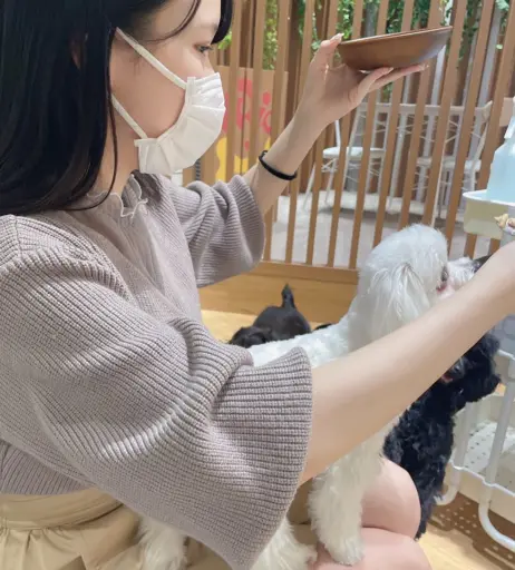 Image 20870323 from Hikaru Miyanishi 宮西ひかる