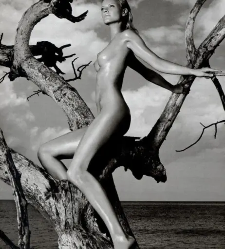 Image 2084426 from Franziska Knuppe