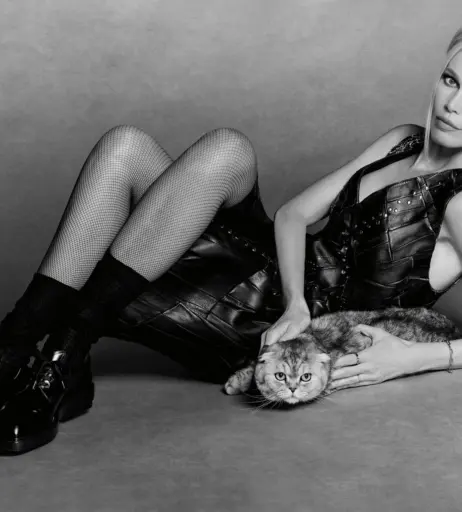 Image 2081596 from Claudia Schiffer