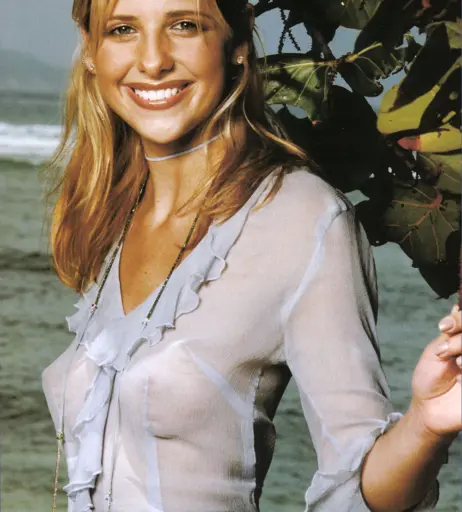 Image 2081363 from Sarah Michelle Gellar
