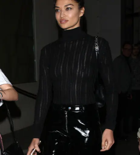 Image 2082869 from Shanina Shaik