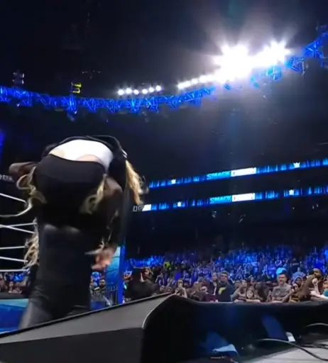 Image 2082819 from Ronda Rousey