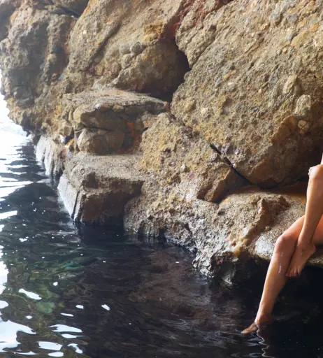 Image 2082404 from Diana Herold