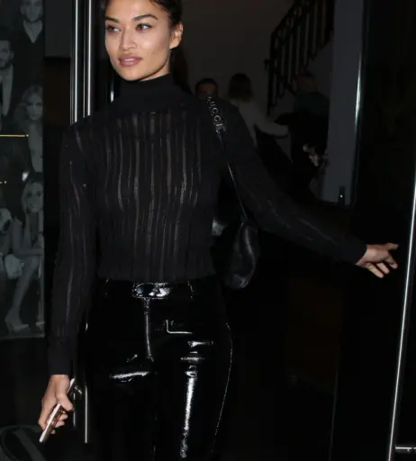 Image 2082737 from Shanina Shaik